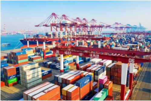 寒潮突襲，大港封航 挑戰中尋創意服務新機遇