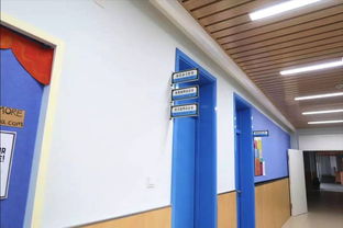學校食堂食品安全引關注，官方回應 涉事蔬菜霉變，校長被免職